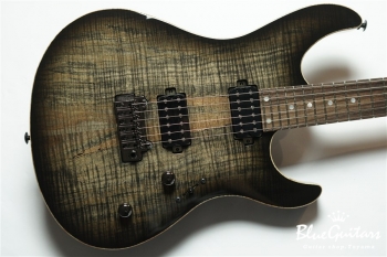 FUTURA-S HH LTD / Alder Back Spalted Maple Top Body - Transparent Black